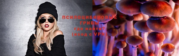 первитин Алексеевка