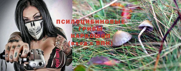 первитин Алексеевка