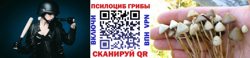 Галлюциногенные грибы MAGIC MUSHROOMS  как найти закладки  Белоозёрский 